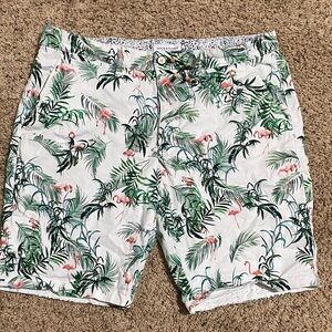 Denim & Flower Green and Pink Tropical Print Men's Shorts